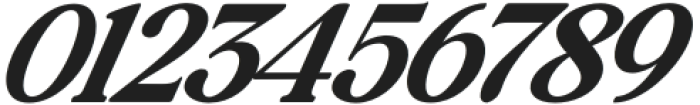 Baskerville Display Pro Semi Bold Contrast Expanded Italic otf (600) Font OTHER CHARS
