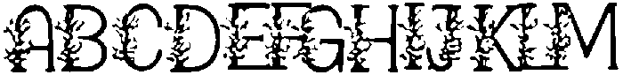 Baxawi ttf (400) Font UPPERCASE