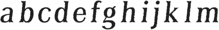 BaysideTavernFillL-Italic otf (400) Font LOWERCASE