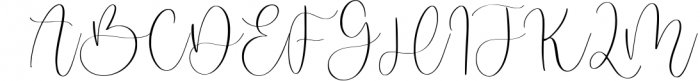 Badger Delight Modern Monoline Script Font Font UPPERCASE