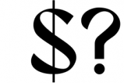 Bagerich Elegant Font Font OTHER CHARS