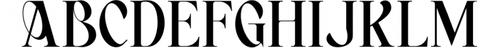 Bagerich Elegant Font Font UPPERCASE
