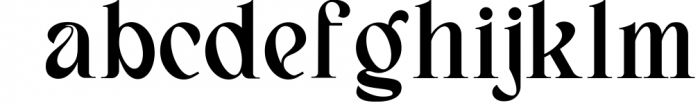 Bagerich Elegant Font Font LOWERCASE