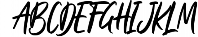 Ballydance - Handwritten Script Font Font UPPERCASE