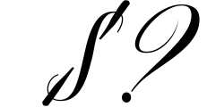 Bargiery Script Font OTHER CHARS