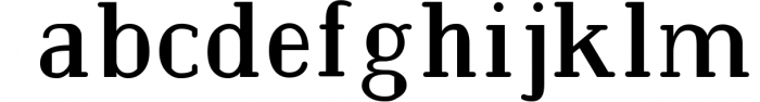 BarkWise - Multi-Purpose Serif Font Font LOWERCASE