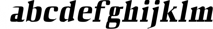 Barnes Serif Typeface Font LOWERCASE