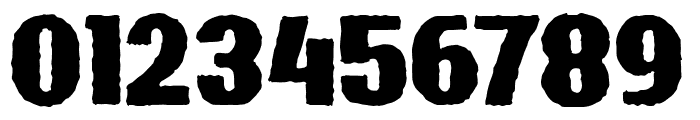 BardonRoughDemo-Rough Font OTHER CHARS