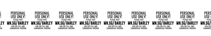 Barley Script PERSONAL USE Font OTHER CHARS