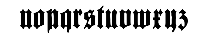 BarloesiusSchrift Font LOWERCASE