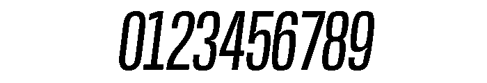 Base Neue Trial Cond Obliq Font OTHER CHARS