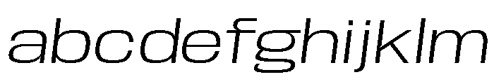 Base Neue Trial Exp Light Obliq FONT