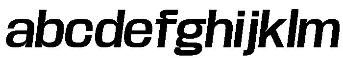 Base Neue Trial SemBd Obliq FONT