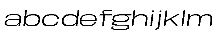 Base Neue Trial Super Ex Lt Obl FONT