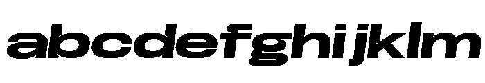 Base Neue Trial Super Exp ExBd FONT