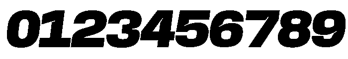 Base Neue Trial Wd Blk Obl Font OTHER CHARS