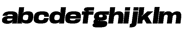 Base Neue Trial Wd Blk Obl FONT