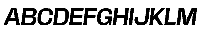 Base Neue Trial Wd SmBd Obl Font