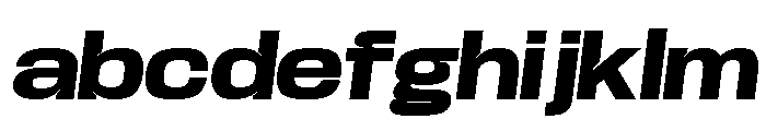 Base Neue Trial Wide ExBd Obl FONT
