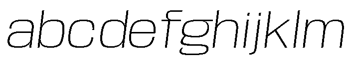 Base Neue Trial Wide ExLt Obl FONT