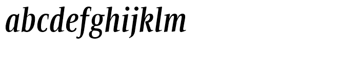 Bartholeme Bold Italic Font LOWERCASE