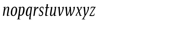 Bartholeme Italic Font LOWERCASE