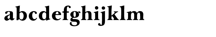 Baskerville AI Heavy Weight Font LOWERCASE