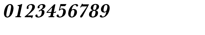 Baskerville Bold Oblique Font OTHER CHARS