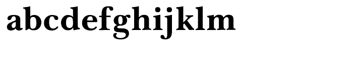 Baskerville LT Cyrillic Bold Font LOWERCASE