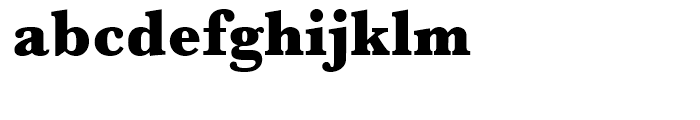 Baskerville Ultra Bold Narrow Font LOWERCASE