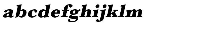 Baskerville Ultra Bold Oblique Font LOWERCASE