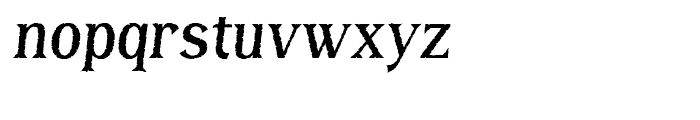 Bayside Tavern X Plain Italic Font LOWERCASE
