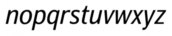 Barnaul Grotesk Italic Font LOWERCASE