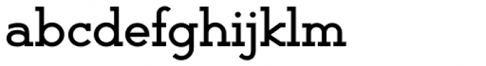 Backtalk Serif BTN Bold Font LOWERCASE