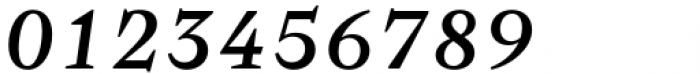 Baghira Medium Italic Font OTHER CHARS