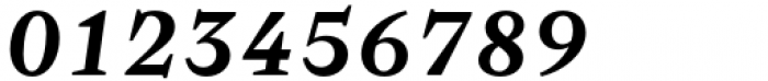 Baghira Semi Bold Italic Font OTHER CHARS