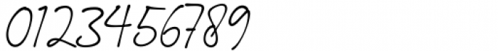 Ballpoint Signature Regular Font OTHER CHARS