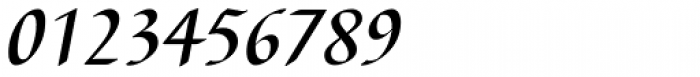 Barbedor Medium Italic Font OTHER CHARS