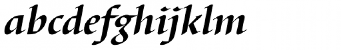 Barbedor Std Bold Italic Font LOWERCASE