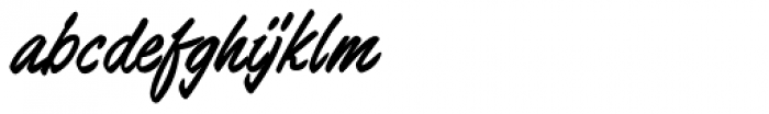 Barnstormer Script Font LOWERCASE