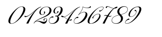 Barsela Calligraphy Font OTHER CHARS