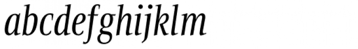 Bartholeme Italic Font LOWERCASE