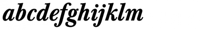Baskerville Berth BQ Medium Italic Font LOWERCASE