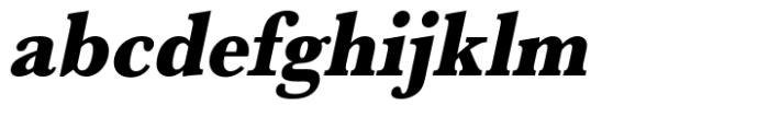 Baskerville Extra Bold Extra Narrow Oblique FONT