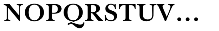 Baskerville Neo Text Bold Font UPPERCASE