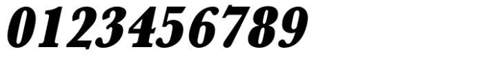 Baskerville Std Ultra Bold Extra Narrow Oblique Font OTHER CHARS