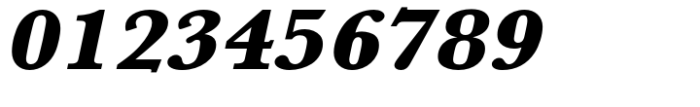 Baskerville Std Ultra Bold Extra Wide Oblique Font OTHER CHARS