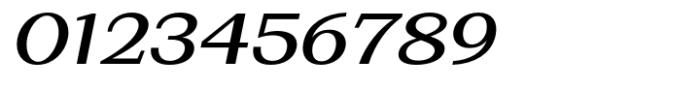 Basnet Medium Expanded Oblique Font OTHER CHARS