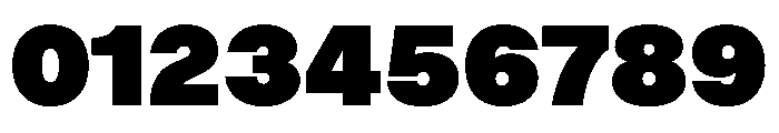 BALGrotesk Black Instance Font OTHER CHARS
