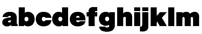 BALGrotesk Black Instance FONT